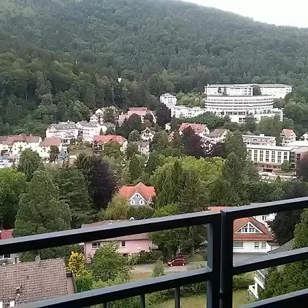 Apartmán In Near Baden Baden *
