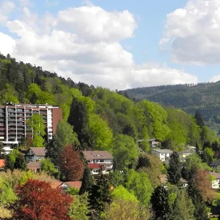 In Near Baden Baden Bad Herrenalb