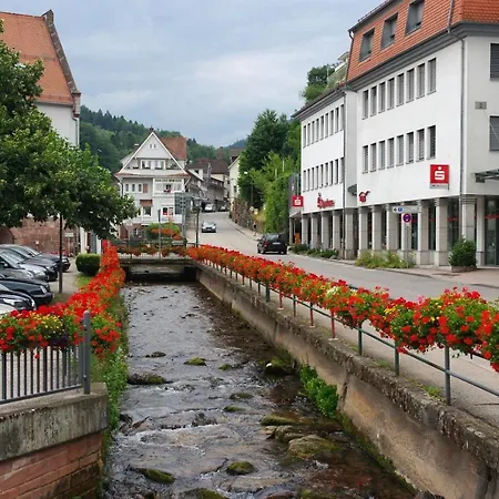 Apartmán In Near Baden Baden Bad Herrenalb